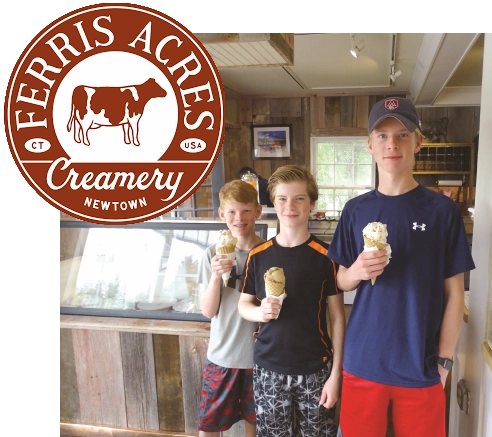 ferris acres ice cream